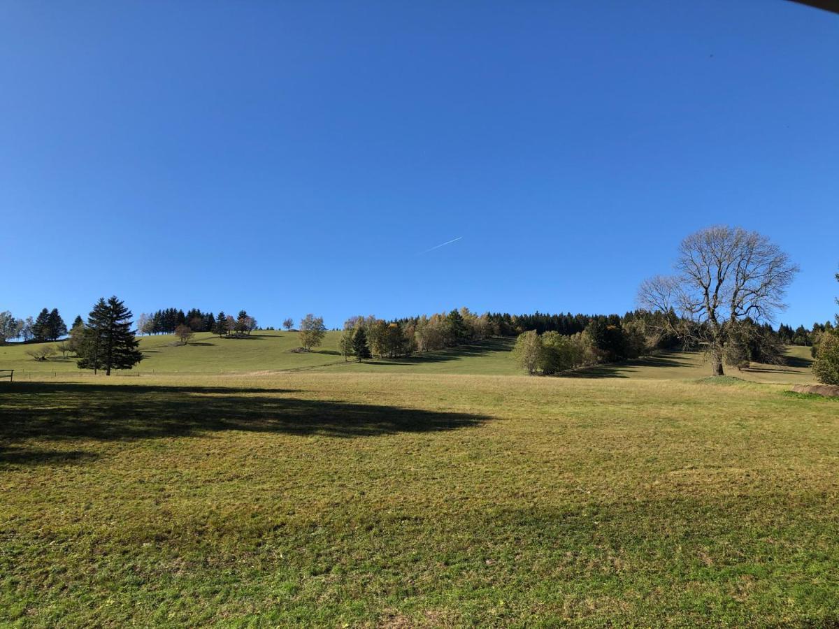 Penzion Čert Horní Maršov Esterno foto