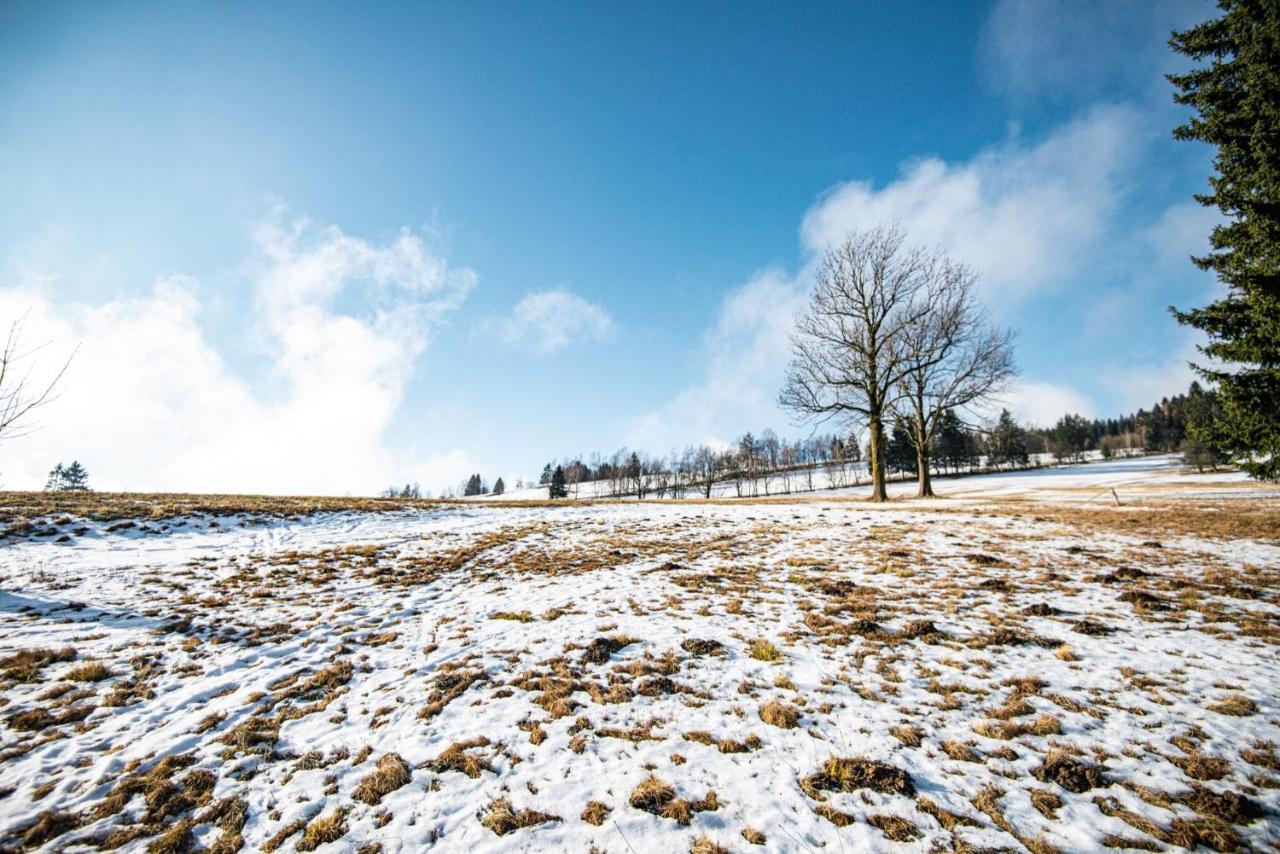 Penzion Čert Horní Maršov Esterno foto